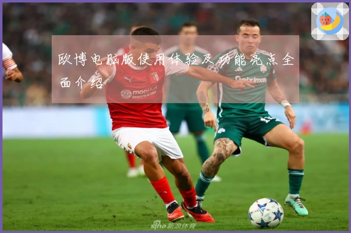 欧博电脑版使用体验及功能亮点全面介绍